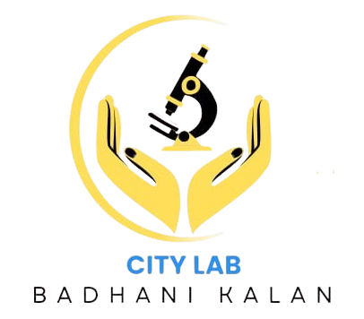 City Lab